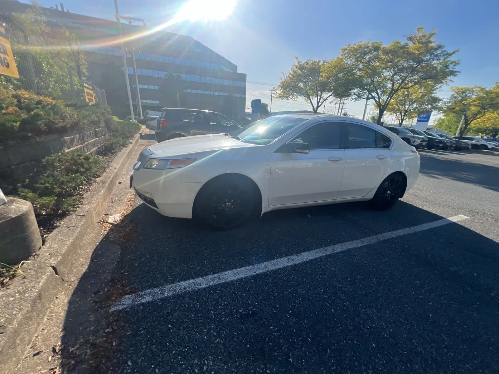 2010 Acura TL Tech