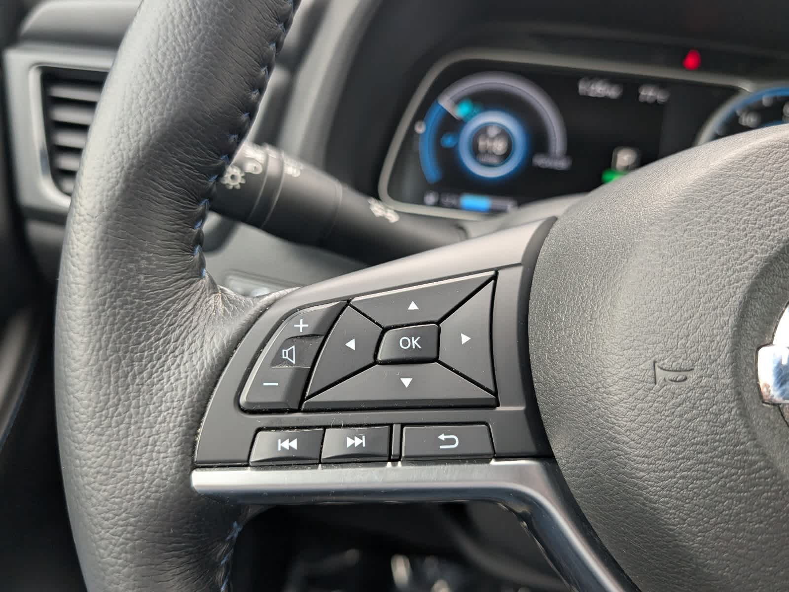 2019 Nissan LEAF SL PLUS