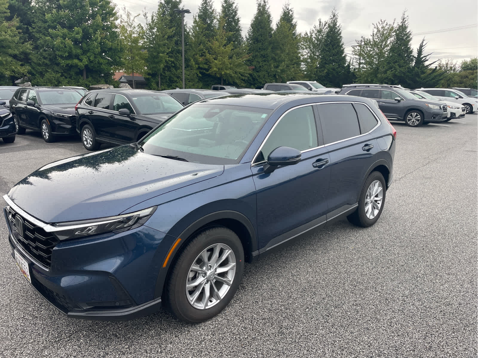 2025 Honda CR-V EX-L