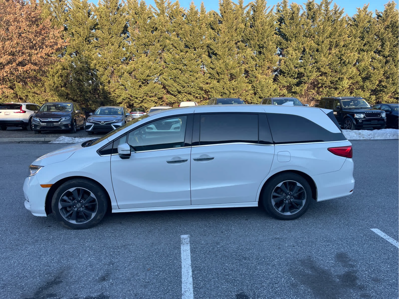 2022 Honda Odyssey Elite