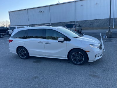 2022 Honda Odyssey Elite