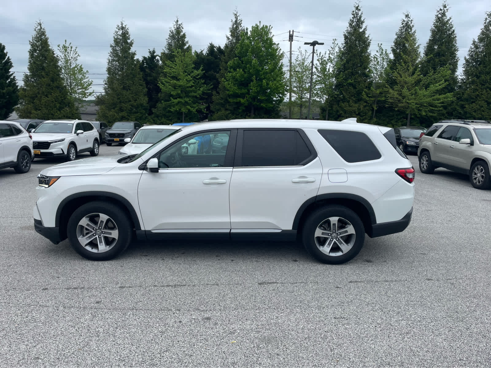 2023 Honda Pilot EX-L 8 Passenger