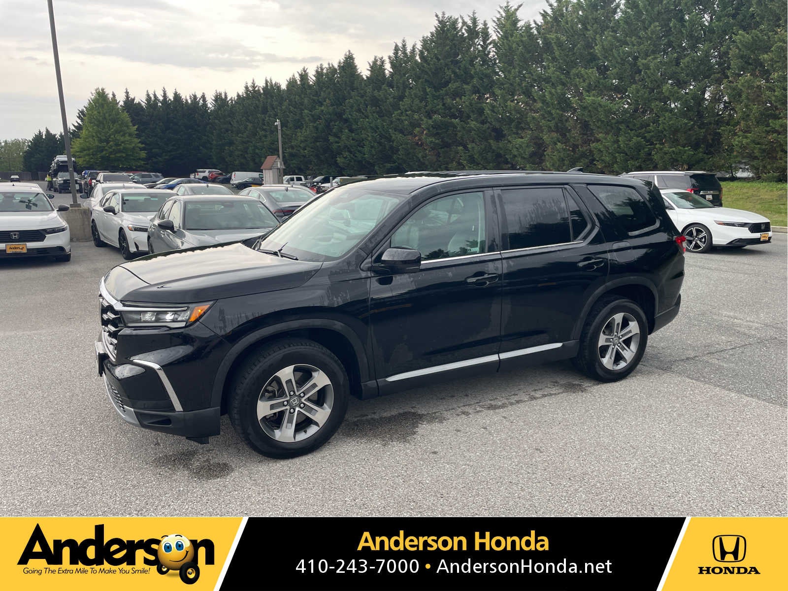2023 Honda Pilot EX-L 7-Occupant AWD's photo