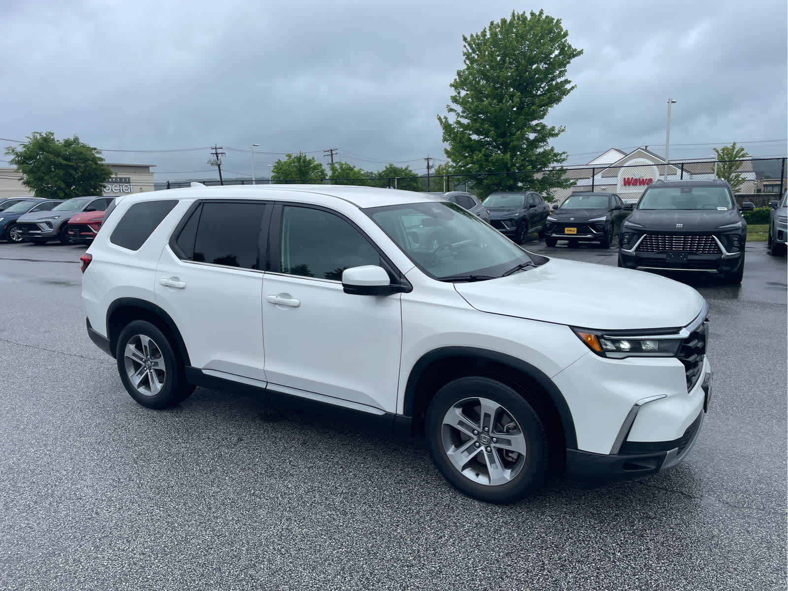 2023 Honda Pilot EX-L 7 Passenger