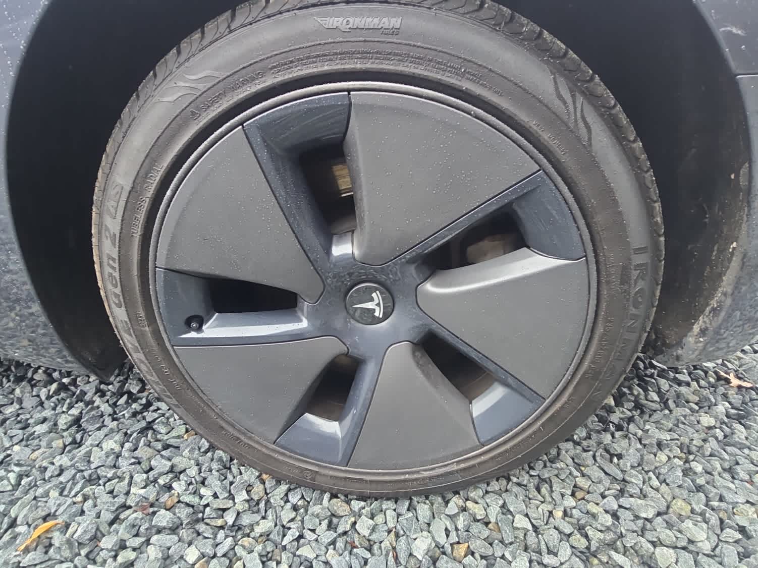 2023 Tesla Model 3 RWD