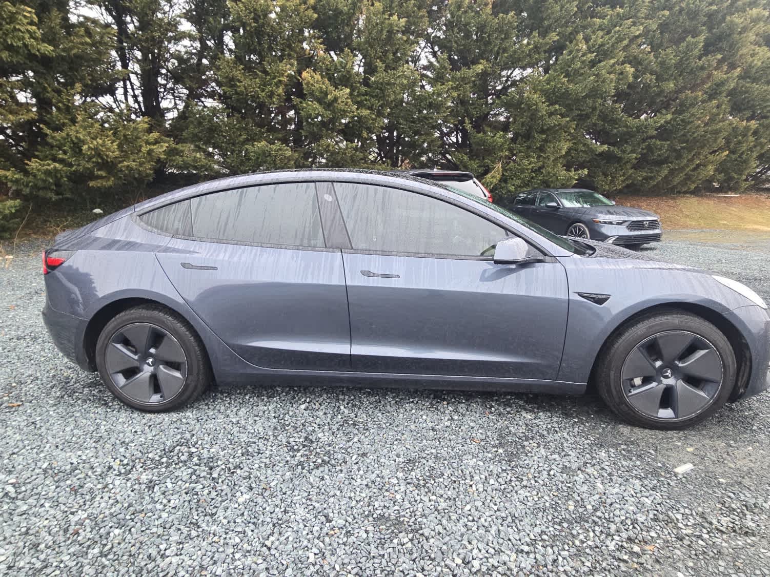 2023 Tesla Model 3 RWD