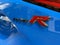 2026 Honda Civic Manual